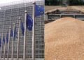 Uniunea Europeană a intervenit în scandalul privind furtul de cereale ucrainene din Israel
