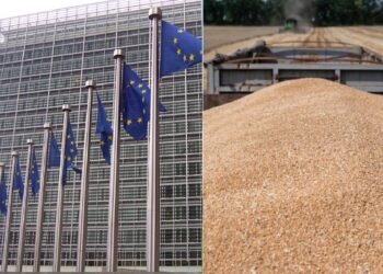 Uniunea Europeană a intervenit în scandalul privind furtul de cereale ucrainene din Israel