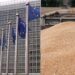 Uniunea Europeană a intervenit în scandalul privind furtul de cereale ucrainene din Israel