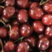 Cât vor costa cireşele în acest an. Preţul va fi în scădere