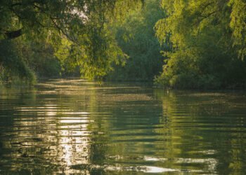 Criză în Rezervația Biosferei Delta Dunării. Acuzații grave de conflict de interese și sabotaj al fondurilor europene