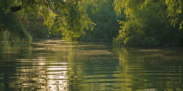 Criză în Rezervația Biosferei Delta Dunării. Acuzații grave de conflict de interese și sabotaj al fondurilor europene