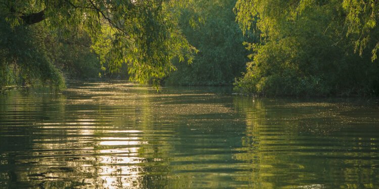 Criză în Rezervația Biosferei Delta Dunării. Acuzații grave de conflict de interese și sabotaj al fondurilor europene