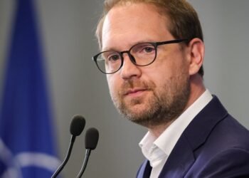 Dominic Fritz, nou eșec în instanță după ce ICCJ i-a respins cererea. Litigiul cu ANI nu s-a încheiat