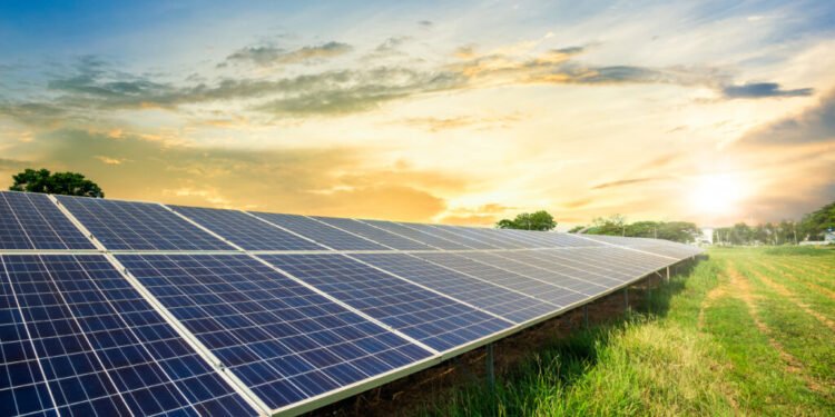 5 bărbați din Vrancea si Buzău au fost reținuți după ce au furat profilele de aluminiu dintr-un parc fotovoltaic