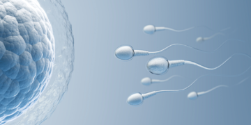 Guvernul aprobă vouchere pentru proceduri de fertilizare in vitro în perioada 2026–2030: sprijin pentru 10.000 de beneficiari anual