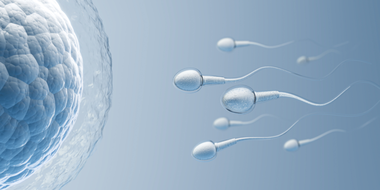 Guvernul aprobă vouchere pentru proceduri de fertilizare in vitro în perioada 2026–2030: sprijin pentru 10.000 de beneficiari anual