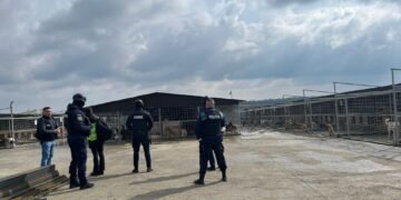 Mascații au descins la Suceava: percheziții într-un dosar de ucidere a animalelor