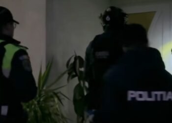 14 percheziții domiciliare în județul Botoșani într-un dosar de braconaj