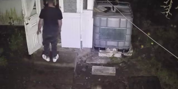 Scandalagii comuna Paltinis