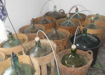 Gospodăriile românilor, scutite de accize: până la 200 de litri de alcool pentru consum propriu