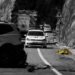 Tragedie pe DN6: polițiștii chemați la un accident au descoperit că victima era chiar colegul lor