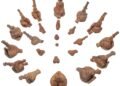 Civilizația Cucuteni-Trypillia face un pas important spre patrimoniul mondial UNESCO