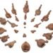 Civilizația Cucuteni-Trypillia face un pas important spre patrimoniul mondial UNESCO