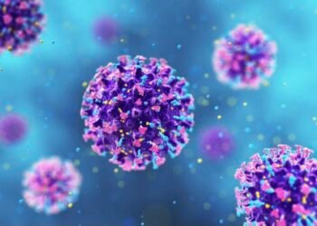 Caz de hantavirus depistat la Arad