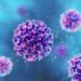 Caz de hantavirus depistat la Arad