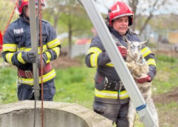 Un ied căzut într-o fântână salvat de pompierii botoșăneni