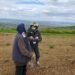 Sora unui pompier ieșean a salvat o bătrână confuză disparută de la domiciliu