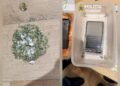 Tânăr de 28 de ani arestat la Botoșani pentru trafic de canabis; un alt suspect este căutat de anchetatori