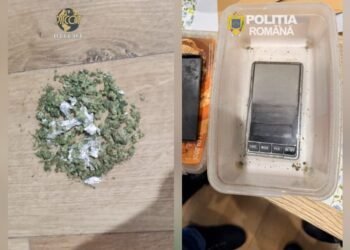 Tânăr de 28 de ani arestat la Botoșani pentru trafic de canabis; un alt suspect este căutat de anchetatori