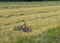 Biciclist de 18 ani mort după ce a fost lovit de un șofer care consumase alcool