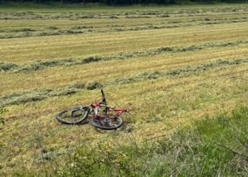 Biciclist de 18 ani mort după ce a fost lovit de un șofer care consumase alcool
