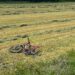 Biciclist de 18 ani mort după ce a fost lovit de un șofer care consumase alcool