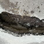 Galerie Foto Vaslui | Mai multe locuințe din Dodești au rămas izolate după ce o alunecare de teren a afectat drumul de acces