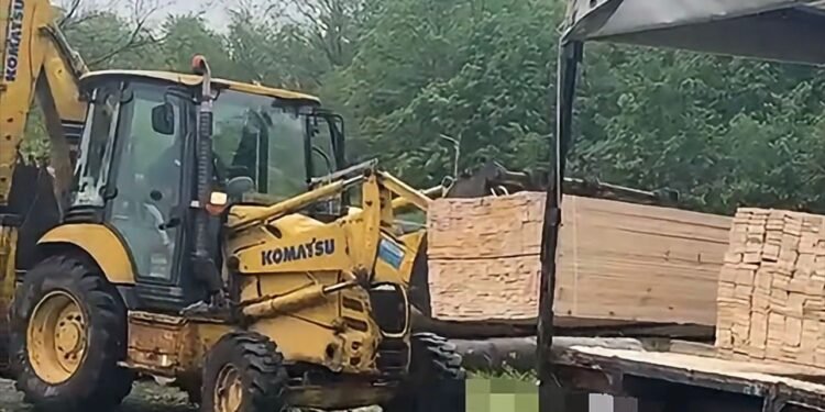 Autoutilitară și 8 metri cubi de lemn, confiscate de polițiștii din Flămânzi