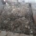 FOTO: Tone de deșeuri scoase din canalizare după ploile de ieri. Semnal de alarmă tras de ApaVital Iași