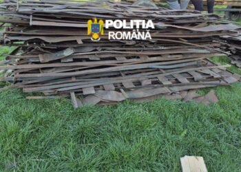 Neamț | Un bărbat din Timișești a furat 52 de parazăpezi din apropierea căii ferate