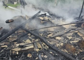 Iași | Incendiu la o anexă gospodărească din Prisăcani. 2 cai nu au putut fi salvați