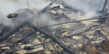 Iași | Incendiu la o anexă gospodărească din Prisăcani. 2 cai nu au putut fi salvați