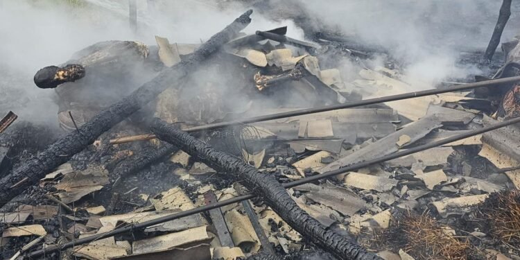 Iași | Incendiu la o anexă gospodărească din Prisăcani. 2 cai nu au putut fi salvați