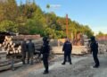 Vrancea | Percheziții la o societate care ar fi tăiat ilegal arbori dintr-o arie naturală