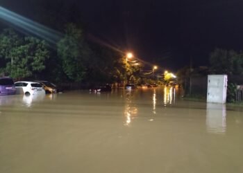 Furtunile au făcut ravagii în mai multe orașe: case inundate, copaci prăbușiți și mașini distruse