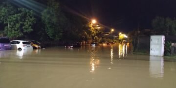 Furtunile au făcut ravagii în mai multe orașe: case inundate, copaci prăbușiți și mașini distruse