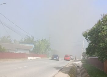 Incendiu puternic la o locuință din județul Iași. Pompierii intervin de urgență în comuna Vlădeni