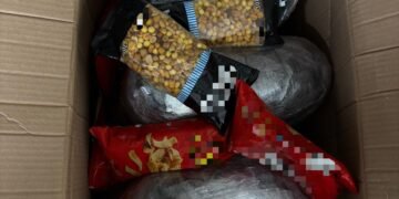 Vrancea | Tineri retinuți după ce au fost prinși cu aproape 9 kg de substanțe psihoactive pe care le ridicau de la o firmă de curierat