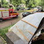 FOTO: Vijelia a făcut ravagii în Botoșani: copaci doborâți peste mașini și o șarpantă prăbușită pe trotuar