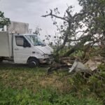 FOTO: Vijelia a făcut ravagii în Botoșani: copaci doborâți peste mașini și o șarpantă prăbușită pe trotuar