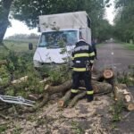 FOTO: Vijelia a făcut ravagii în Botoșani: copaci doborâți peste mașini și o șarpantă prăbușită pe trotuar
