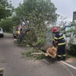 FOTO: Vijelia a făcut ravagii în Botoșani: copaci doborâți peste mașini și o șarpantă prăbușită pe trotuar