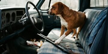 Câinele care a tras cu arma: o femeie a fost rănită în fața unui magazin