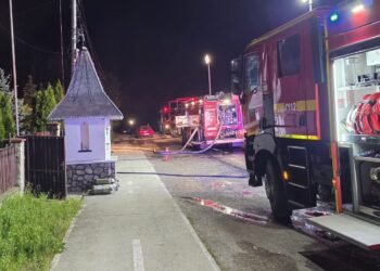 Neamț | Pompierii s-au luptat 6 ore cu flăcările dupa un incendiu izbucnit la o gospodărie din Dobreni
