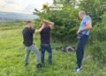 Amplă acțiune a Poliției în Hunedoara. Ascuns într-o grotă și înarmat cu un cuțit, un bărbat a fost reținut după ce și-ar fi atacat fosta soție