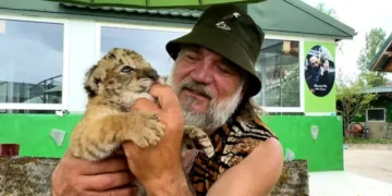 Incendiu la o grădină zoologică din Suceava: a murit Goliath, primul ligru din România