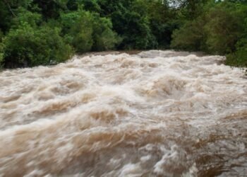 INHGA: Cod galben de inundaţii pe râuri din patru judeţe