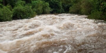 INHGA: Cod galben de inundaţii pe râuri din patru judeţe