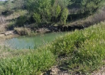 Căutări disperate în Vrancea. Un copil de 4 ani, găsit mort într-o baltă neamenajată, la doar o oră de la dispariție
